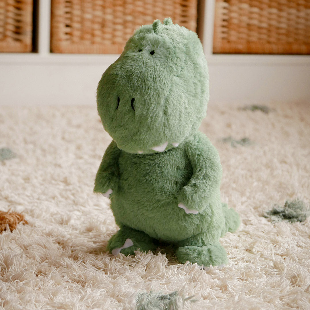 Dinosaur Soft Toy